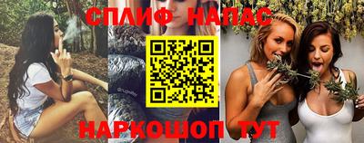 дживик Кандалакша